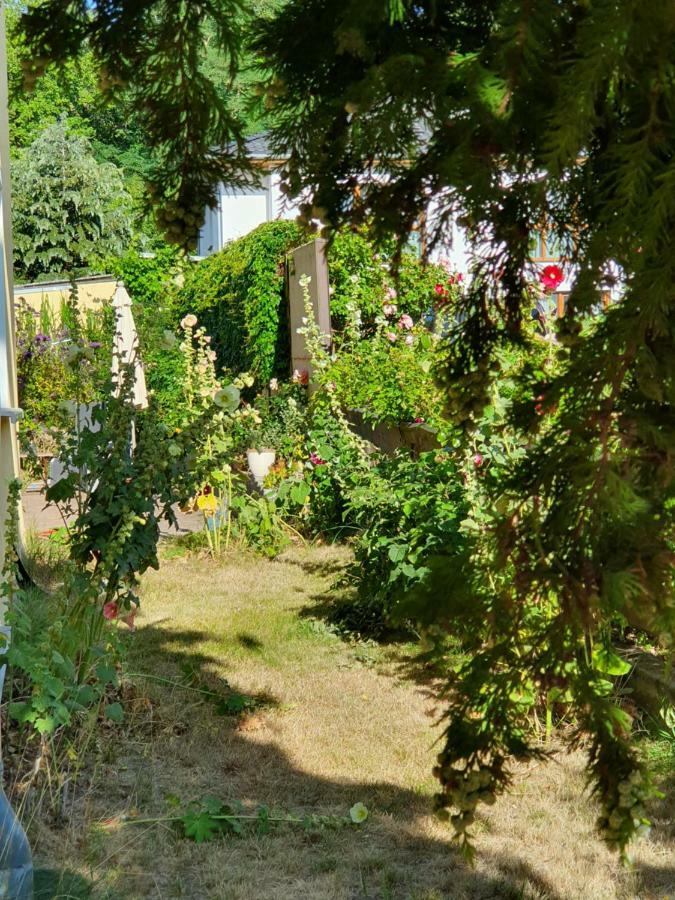 Ferienwohnung Ole ซินโนวิทซ์ ภายนอก รูปภาพ